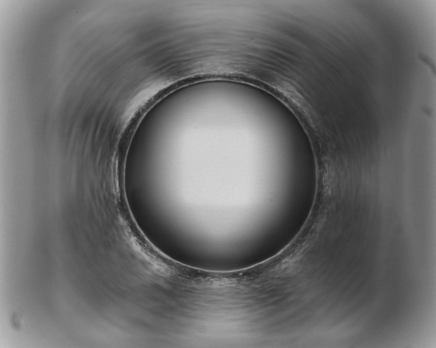 X0000102831030200808251129