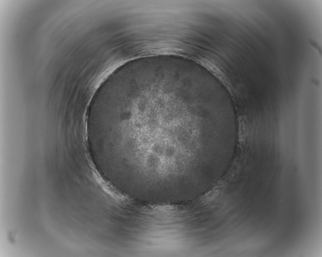 X0000102831031200808251129