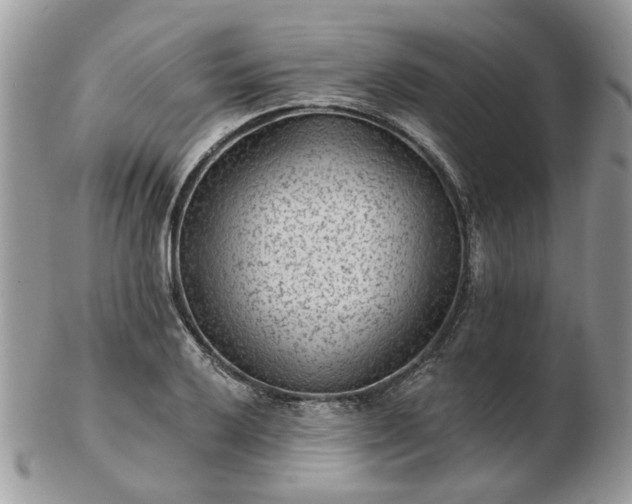 X0000102831032200808251129