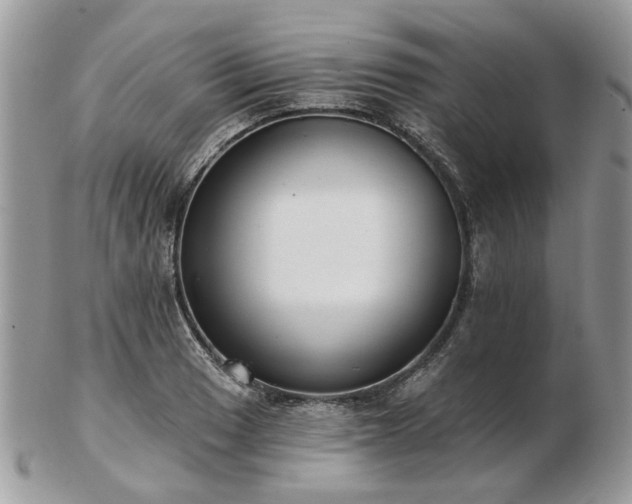 X0000102831033200808251129