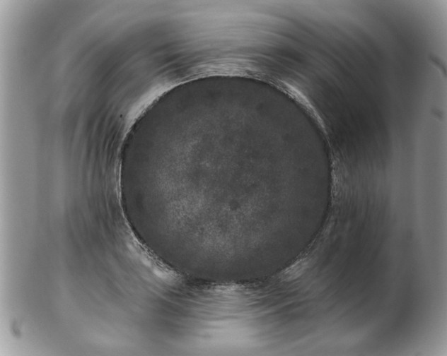 X0000102831035200808251129