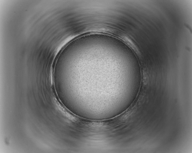 X0000102831036200808251129