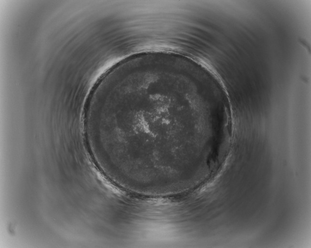 X0000102831037200808251129