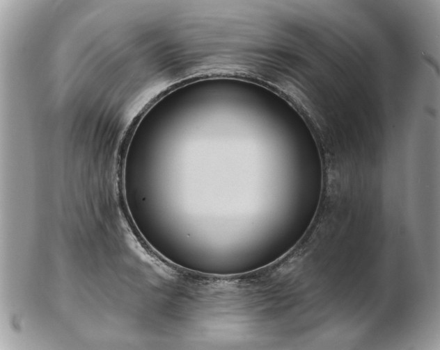 X0000102831038200808251129