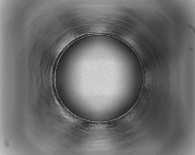 X0000102831039200808251129