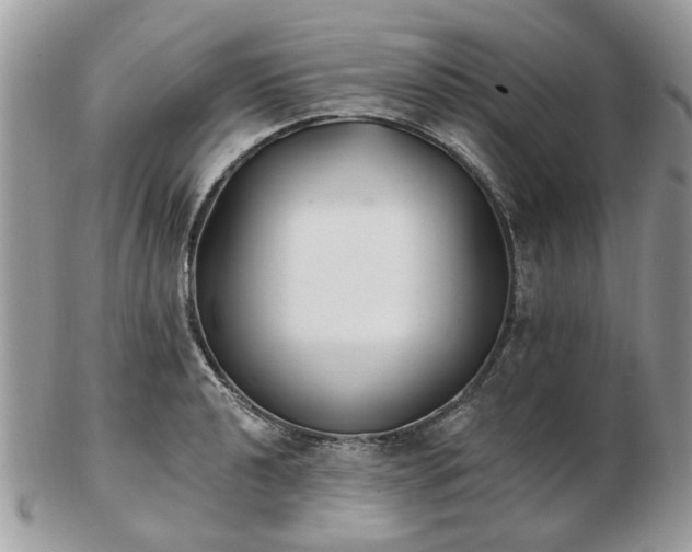 X0000102831040200808251129