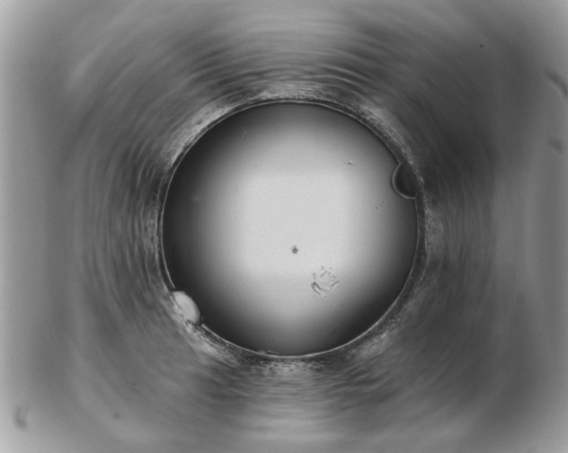 X0000102831041200808251129