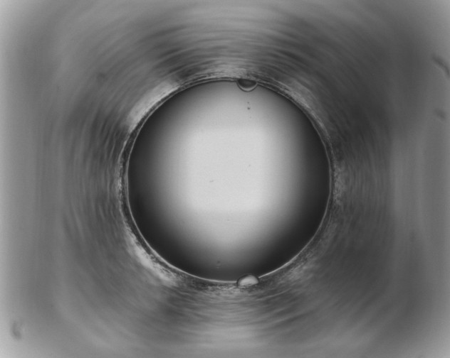 X0000102831042200808251129