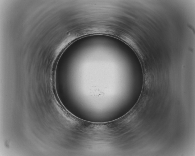 X0000102831043200808251129