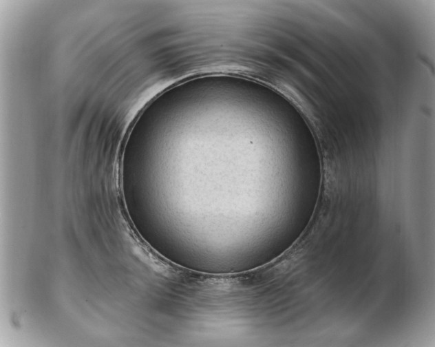 X0000102831044200808251129