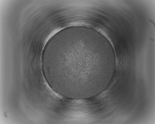 X0000102831045200808251129