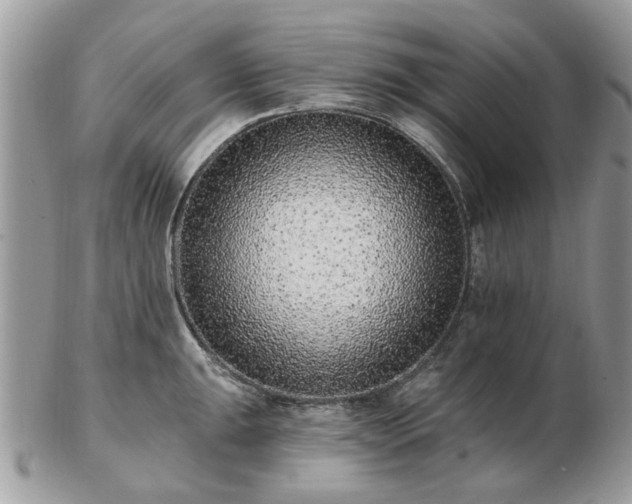 X0000102831047200808251129