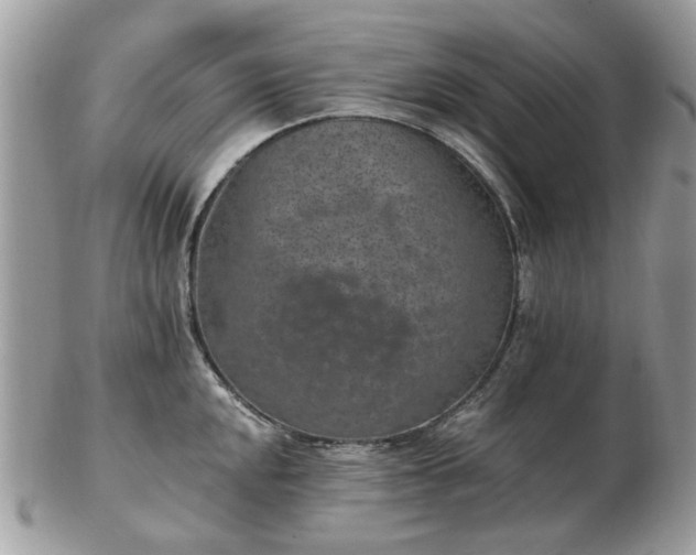 X0000102831048200808251129