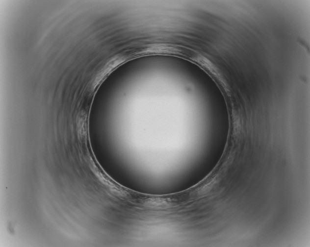 X0000102831049200808251129