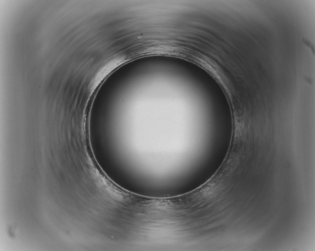 X0000102831050200808251129