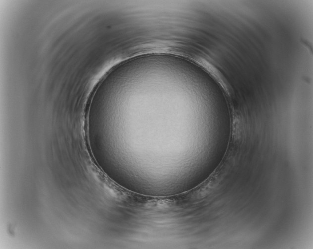 X0000102831051200808251129