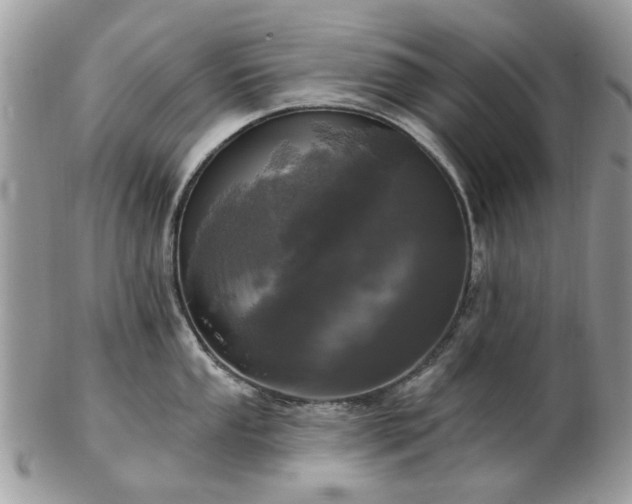 X0000102831053200808251129