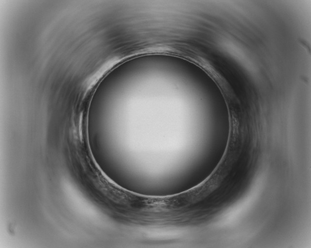 X0000102831054200808251129