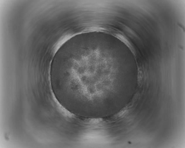 X0000102831055200808251129