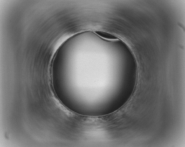 X0000102831056200808251129