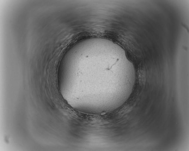 X0000102831057200808251129