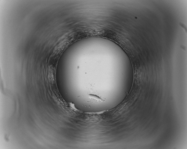 X0000102831058200808251128