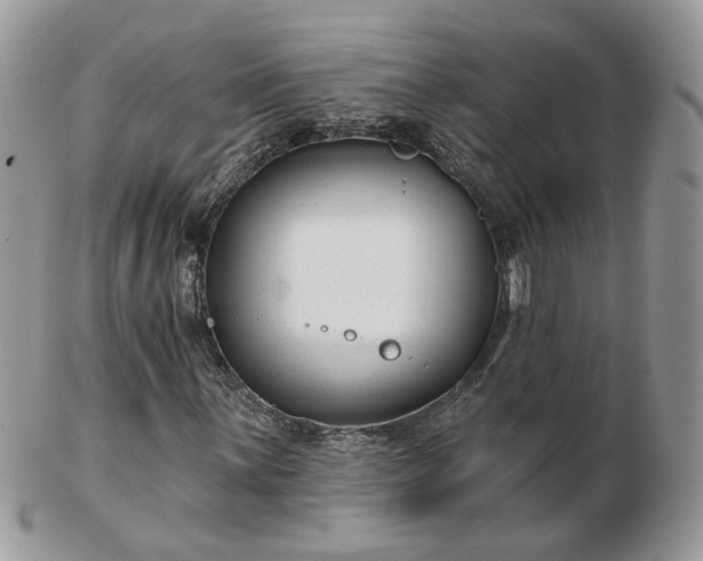 X0000102831059200808251128