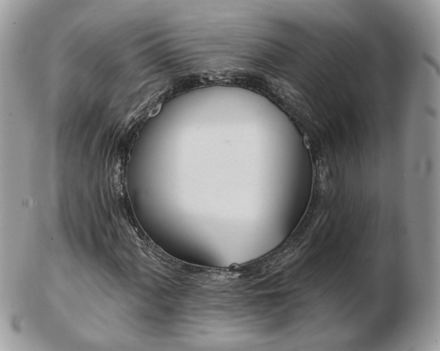 X0000102831060200808251128