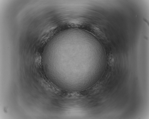 X0000102831061200808251128