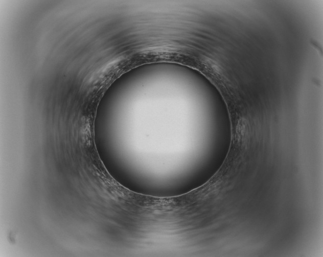 X0000102831062200808251128