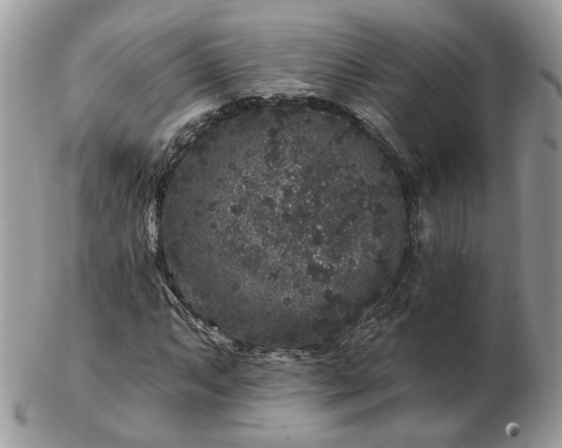 X0000102831063200808251128