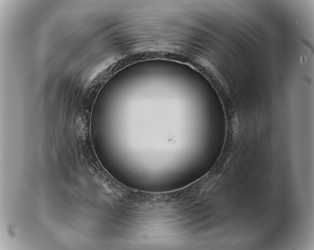 X0000102831064200808251128