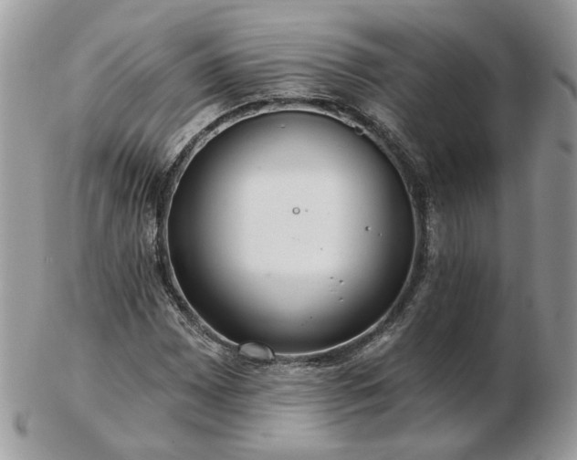 X0000102831065200808251128