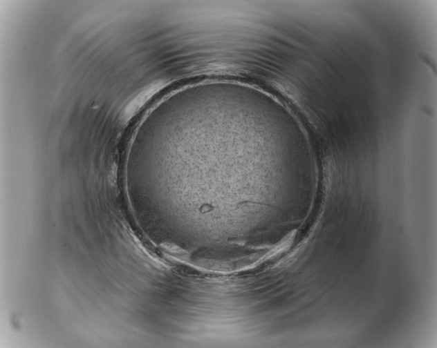 X0000102831066200808251128