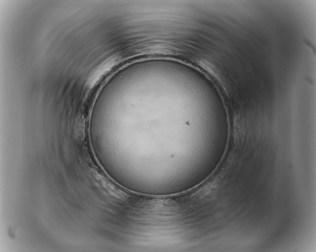 X0000102831067200808251128