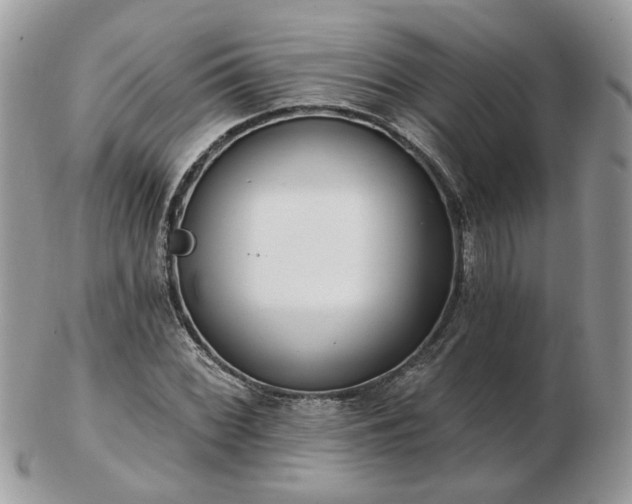 X0000102831068200808251128