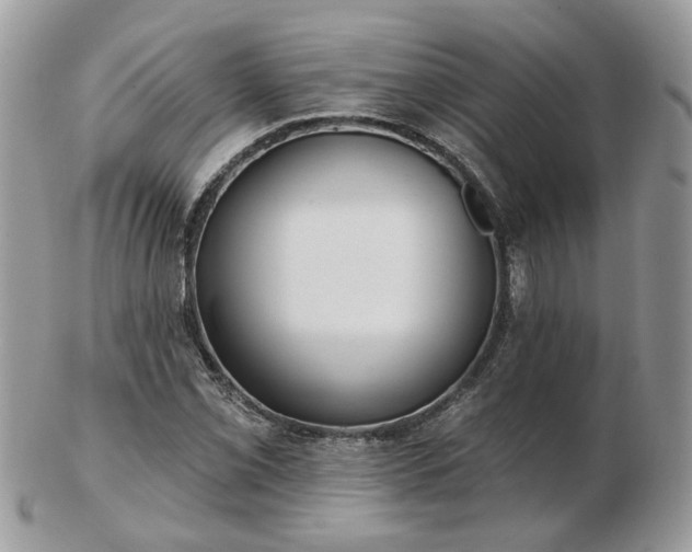 X0000102831069200808251128