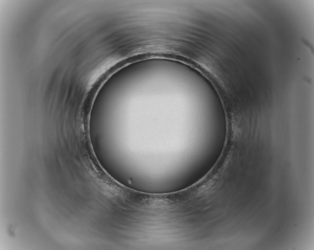 X0000102831070200808251128