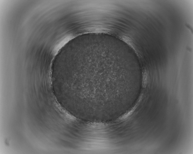 X0000102831071200808251128