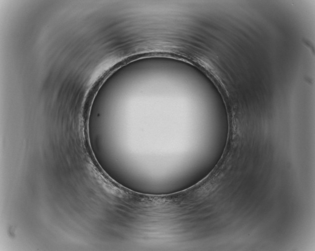 X0000102831072200808251128