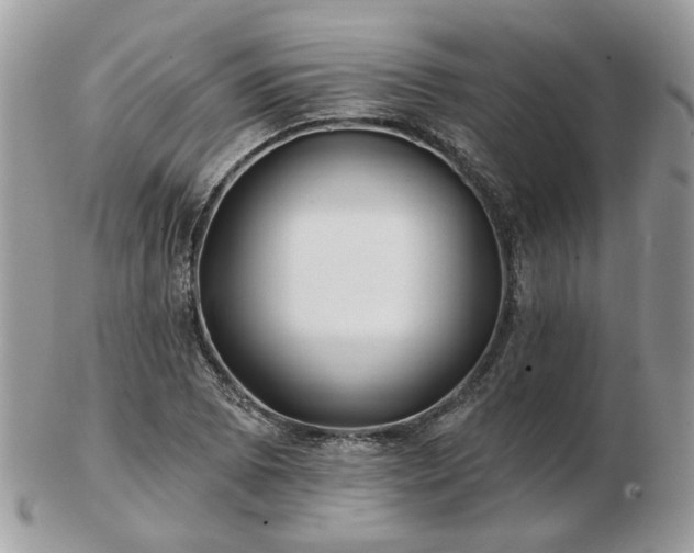 X0000102831073200808251128