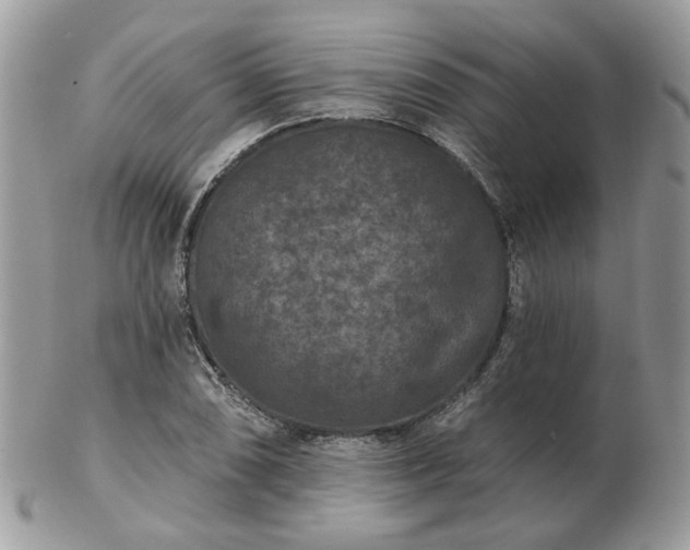 X0000102831074200808251128