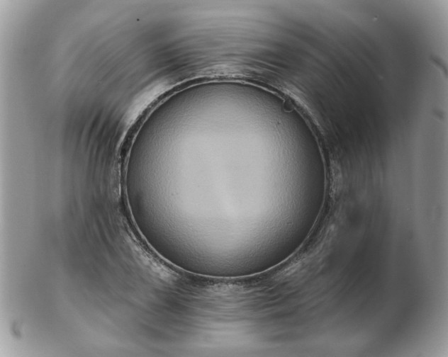 X0000102831075200808251128