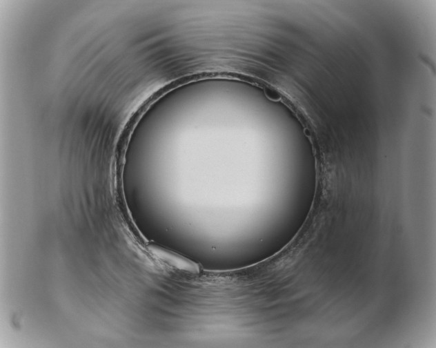 X0000102831076200808251128