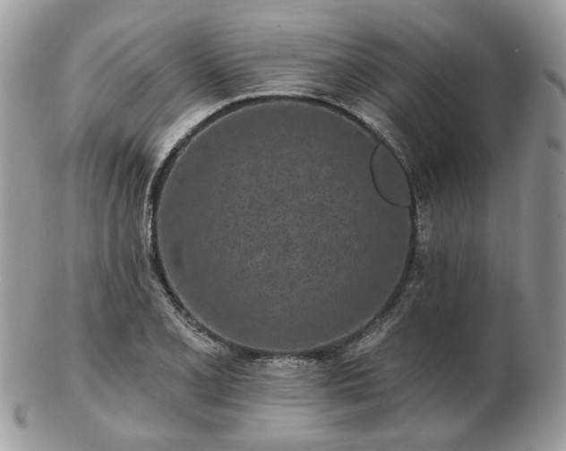 X0000102831077200808251128