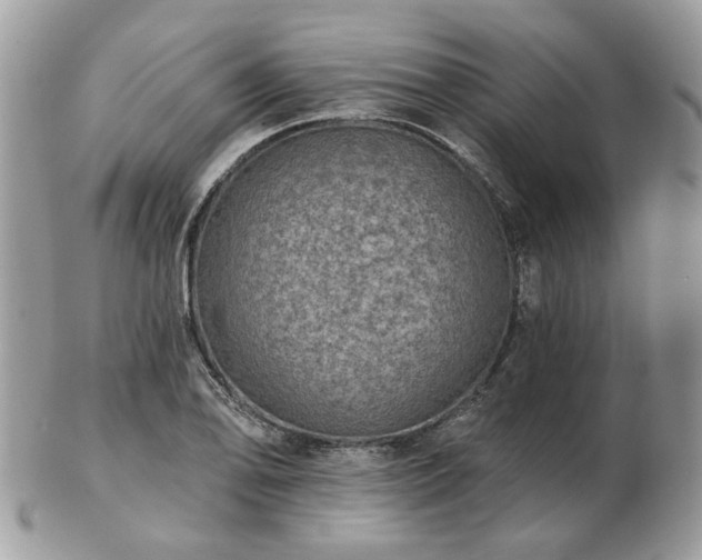 X0000102831078200808251128