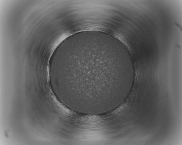 X0000102831079200808251128