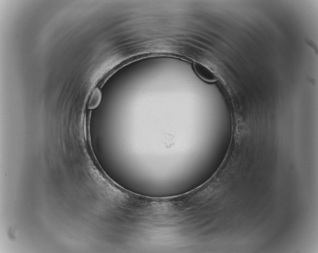 X0000102831080200808251128