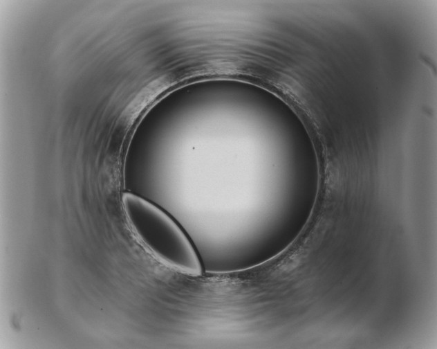 X0000102831081200808251128