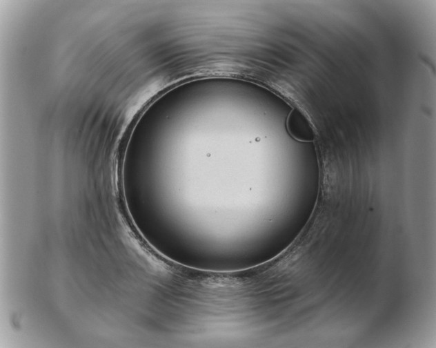 X0000102831083200808251128